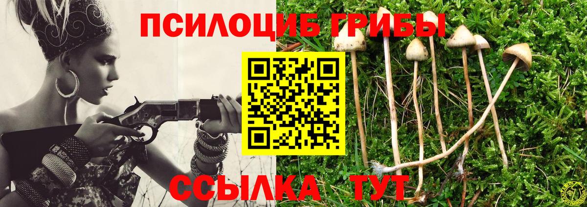 Галлюциногенные грибы Psilocybe  Вход с VPN  Луховицы  Галлюциногенные грибы Psilocybe 