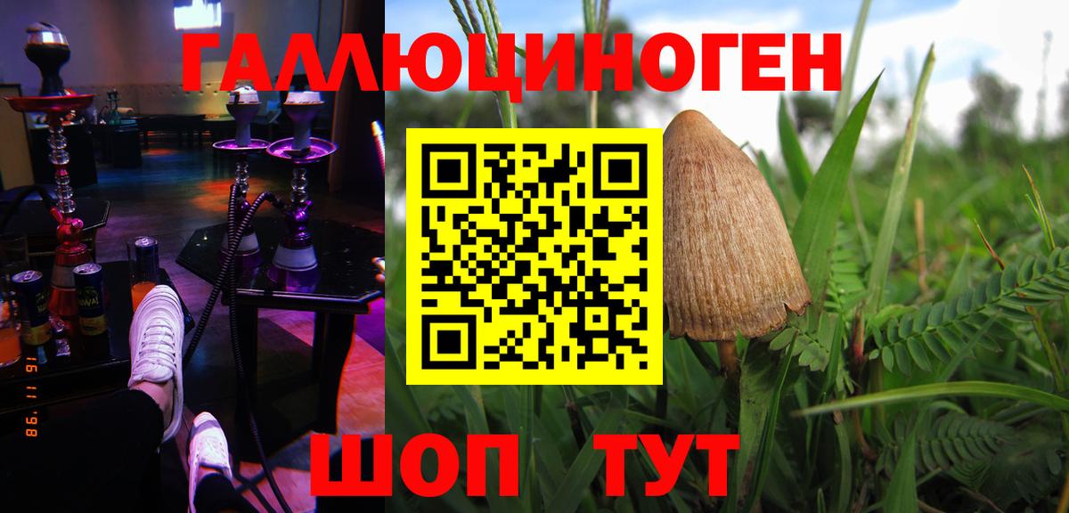 Псилоцибиновые грибы прущие грибы Луховицы
