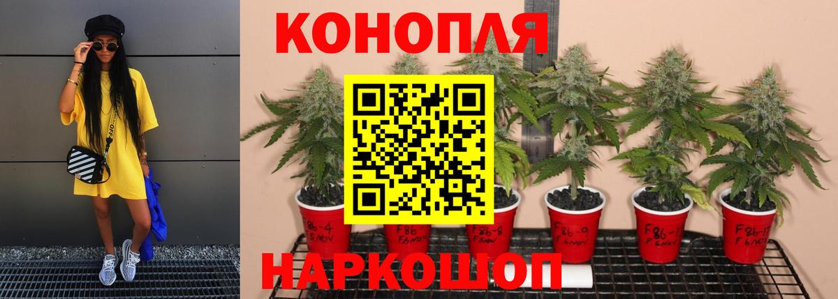 МАРИХУАНА ГИДРОПОН  Вход с VPN  Канабис индика  Луховицы 